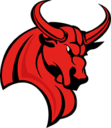 Wetterau Bulls