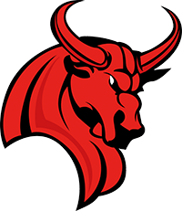 Wetterau Bulls